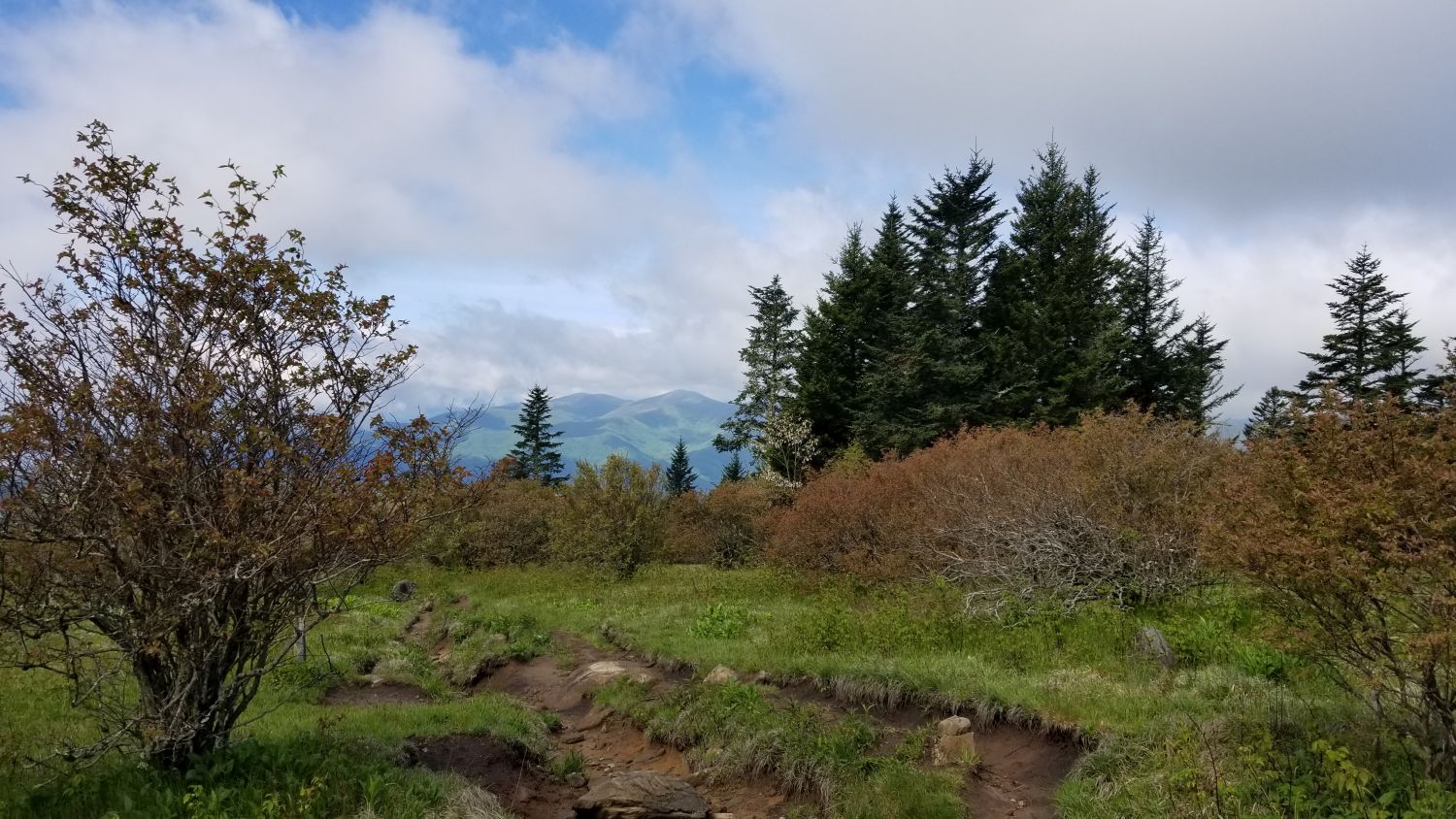 Abrahms Bald Hike 